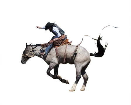 Bronc Riding PNG - Saddle Bronc Riding. - CleanPNG / KissPNG