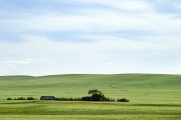 Keuken spatwand met foto prairie landscape © Tyler Olson