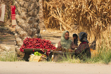 people of egypt - market