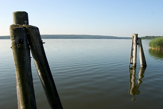 dalben im see