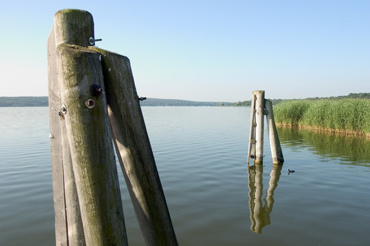 dalben im see 02