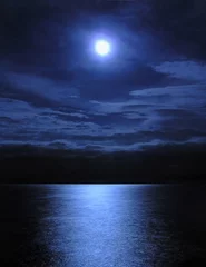 Rolgordijnen maanlicht © Ruta Saulyte