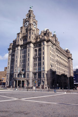 Obraz premium liver buildings