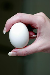 Fototapeta na wymiar hand holding an egg