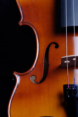 violin