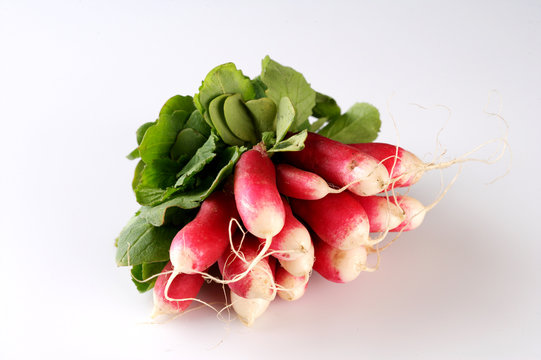 radish5494