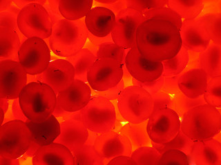 background of stone bramble berries