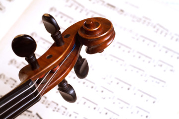 Naklejka premium violin head