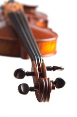 Fototapeta premium violine