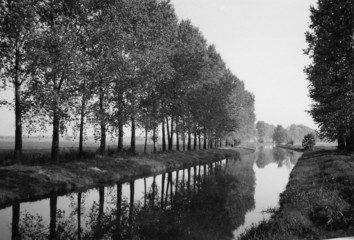 spiegelung am fluß  in schwarz-weiß