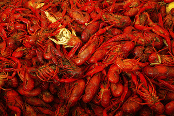 cajun feast