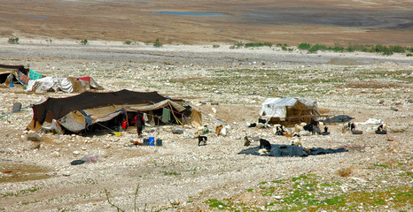 bedouin camp