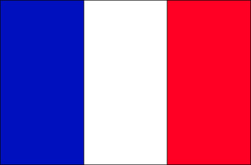 french flag 2