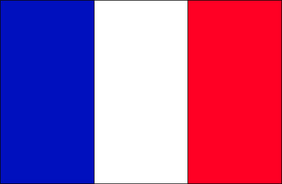 french flag 2
