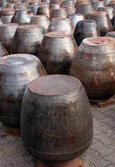 Obraz premium kimchi pots