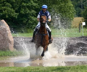 Foto op Plexiglas Paardrijden Spring in het water