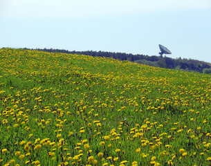 radioteleskop