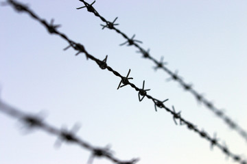 barbed wire fence