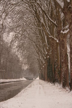 chemin en hiver