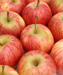 royal gala apples