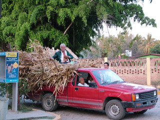 homme sur son carosse