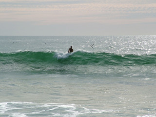 Fototapeta premium surfeur pres la vague