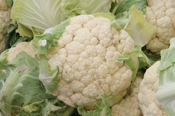 choux-fleur, choufleur, chou-fleur
