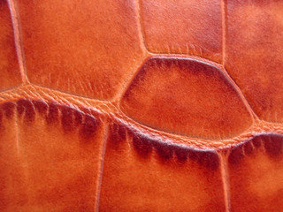 leather texture