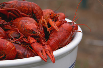 bowl of boiled crawfish from side.