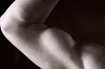 female bodybuilder © Steve Lovegrove