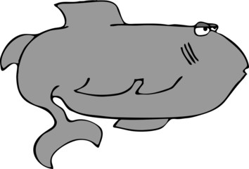 gray fish