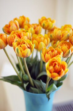 vase of flowers