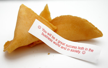 fortune cookie business