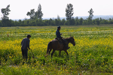 field work in kyrgyzstan