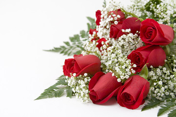 Fototapeta premium red roses