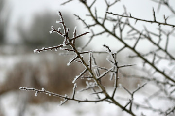 spiky and frosty