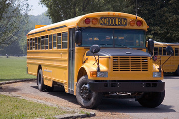 school bus - 340063