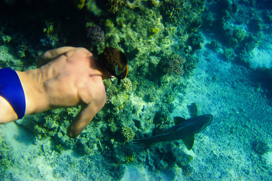 snorkeling