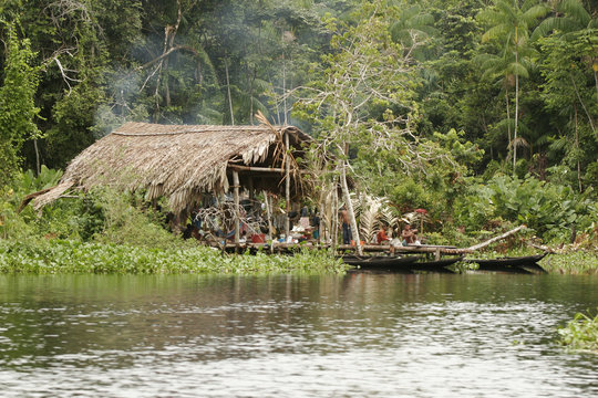 hut in the jungle