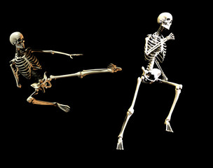 fighting skeletons