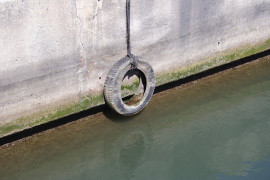 neumatico