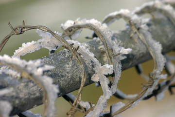 stacheldrahtzaun