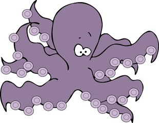 octopus
