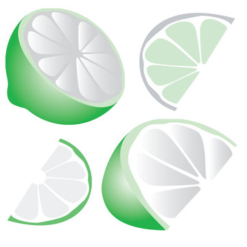 vector green lime wedge variations