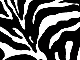 abstract zebra print - 352253