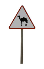 passage de dromadaire