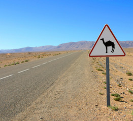 passage de chameaux