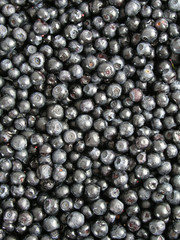 bilberries