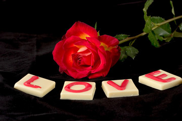 valentine's love