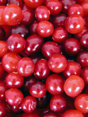 cranberries